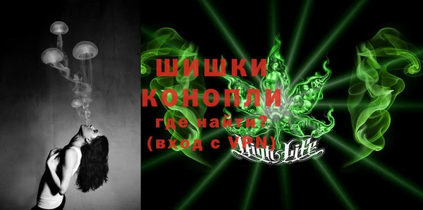 PSILOCYBIN Карталы