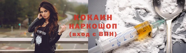 PSILOCYBIN Карталы