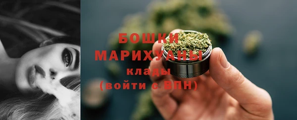 PSILOCYBIN Карталы