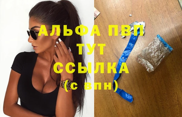 гидра Карпинск