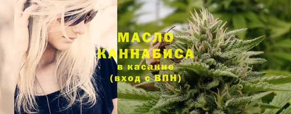 гидра Карпинск