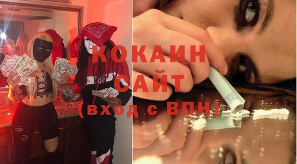 гидра Карпинск