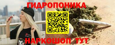 a pvp Пенза