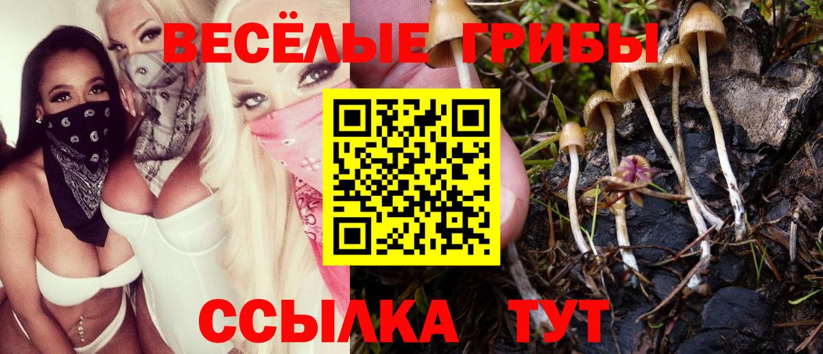 Галлюциногенные грибы мицелий  Вход с VPN  Междуреченск 