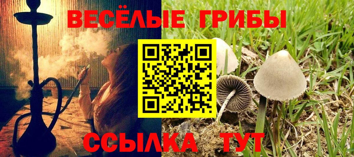 Псилоцибиновые грибы GOLDEN TEACHER Междуреченск