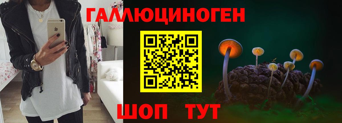 Псилоцибиновые грибы Psilocybe Междуреченск