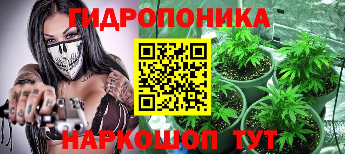 Бошки марихуана семена  Вход с VPN  Канабис ГИДРОПОН  Междуреченск 